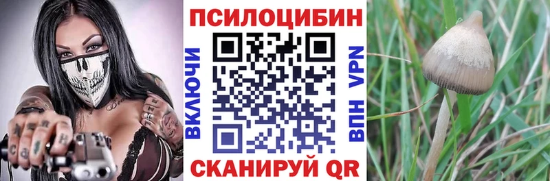 Галлюциногенные грибы MAGIC MUSHROOMS  Новочебоксарск 